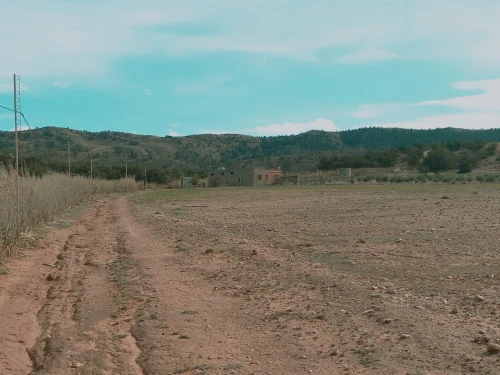 Vente Terrain Agricole Djelfa Djelfa