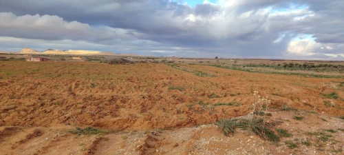 Vente Terrain Agricole Djelfa Ain oussara