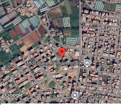 Vente Terrain Tipaza Bou ismail