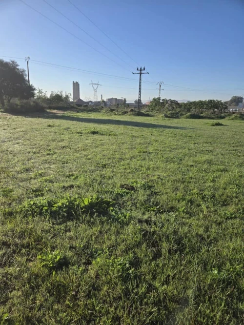 Vente Terrain Annaba Sidi amar