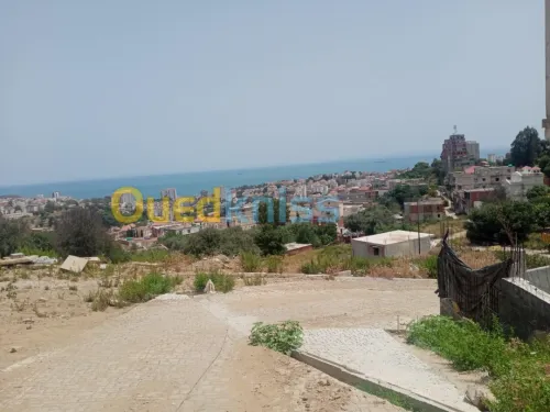 Vente Terrain Annaba Annaba