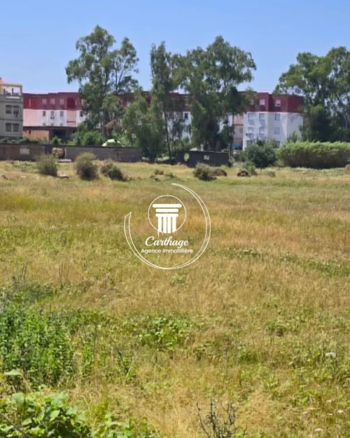Vente Terrain Annaba Annaba