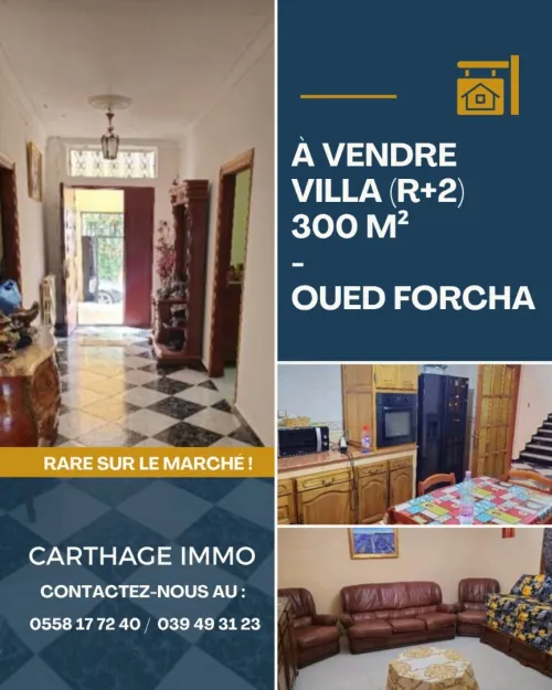 Vente Villa Annaba Annaba