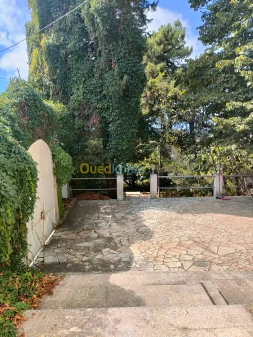 Vente Villa Annaba Annaba