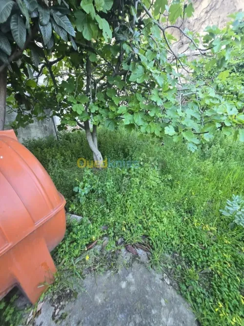 Vente Villa Annaba Annaba