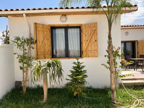 Vente Terrain Agricole Tissemsilt Tissemsilt