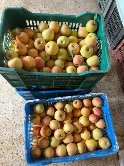 Vente Terrain Agricole Tissemsilt Tissemsilt