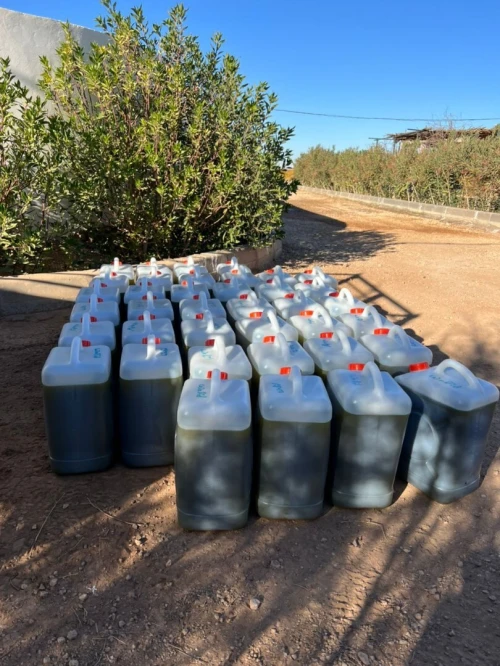 Vente Terrain Agricole Tissemsilt Tissemsilt