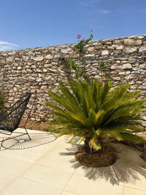Vente Terrain Agricole Tissemsilt Tissemsilt