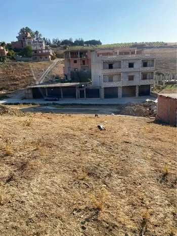 Vente Terrain Boumerdès Tidjelabine