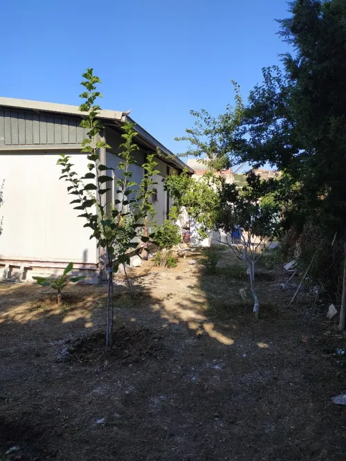 Vente Terrain Chlef Tenes