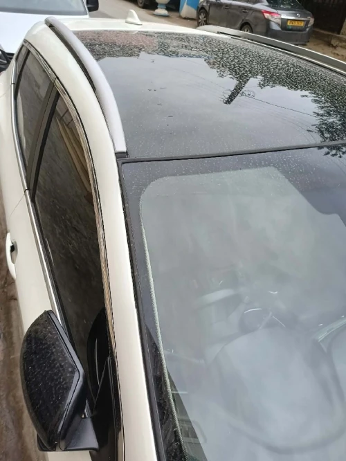 Nissan Qashqai 2019 Qashqai