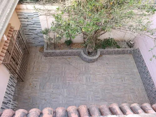 Location Villa Blida Ben khellil