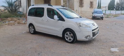 Peugeot Partner 2011 Tepee