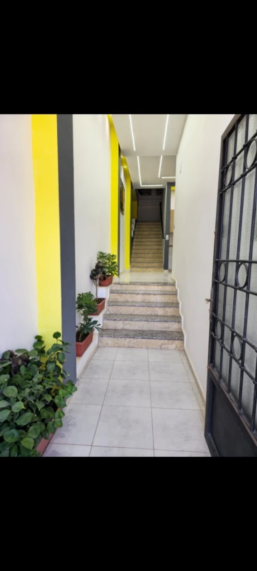 Location Appartement Tlemcen Mansourah