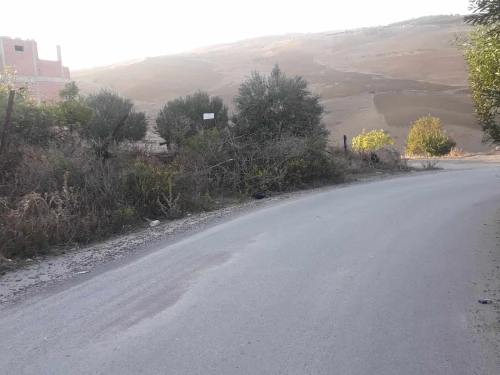 Vente Terrain Mila Mila