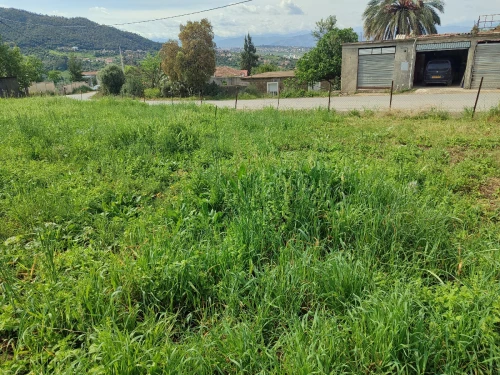 Vente Terrain Tizi Ouzou Aghrib