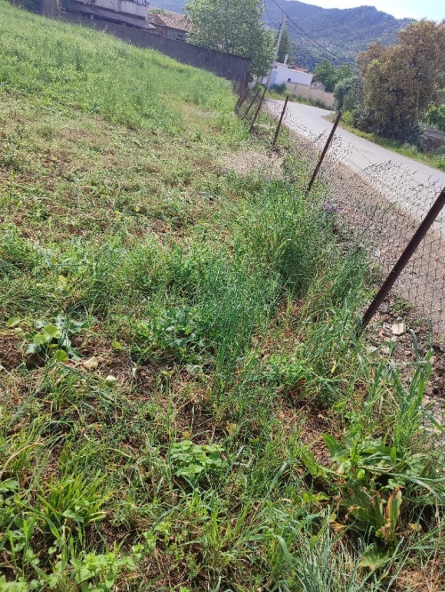 Vente Terrain Tizi Ouzou Aghrib