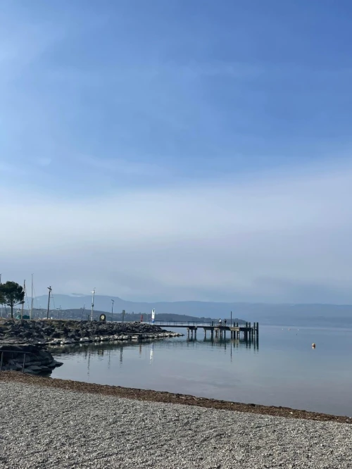 Vente bien immobilier Alger Alger centre