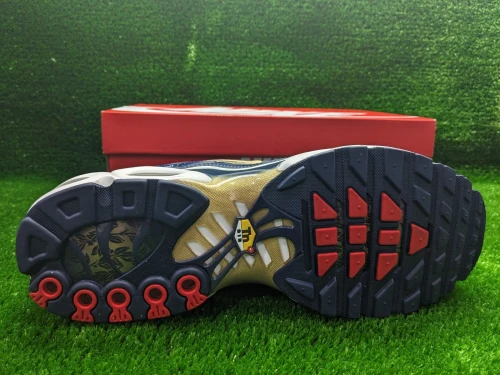 Nike Tn Air Max Plus Edition FFF - Ref FB3350-400 - Original اصلية - Pointure 47.5 / 31 Centimètre 