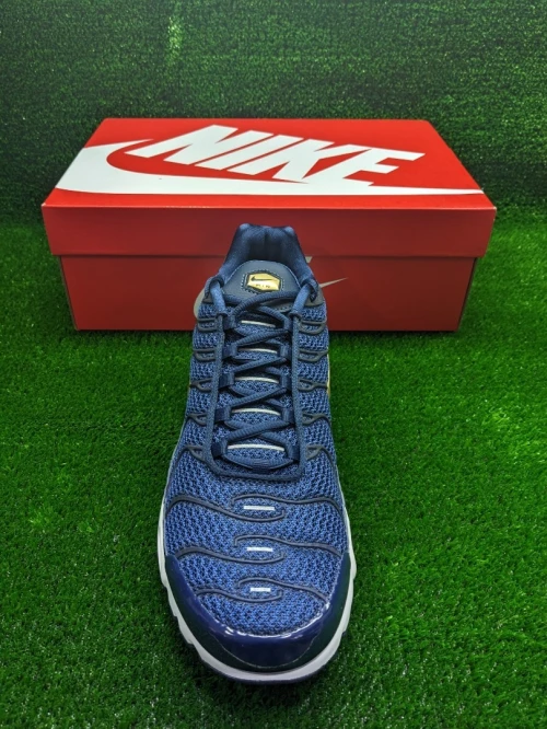 Nike Tn Air Max Plus Edition FFF - Ref FB3350-400 - Original اصلية - Pointure 47.5 / 31 Centimètre 