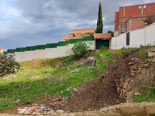 Vente Terrain Tipaza Tipaza