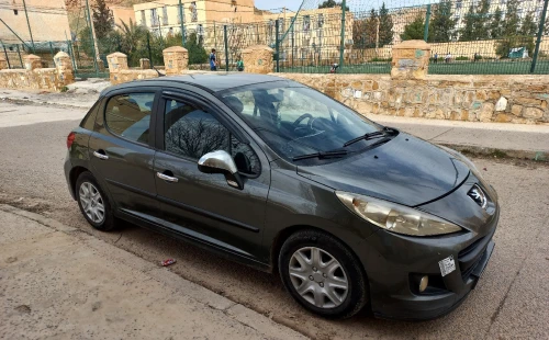 Peugeot 207 2010 