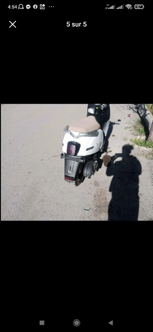 Benelli Panaria 2022