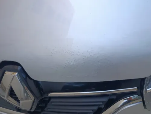 Renault Symbol 2019 MILADI (Extrême)