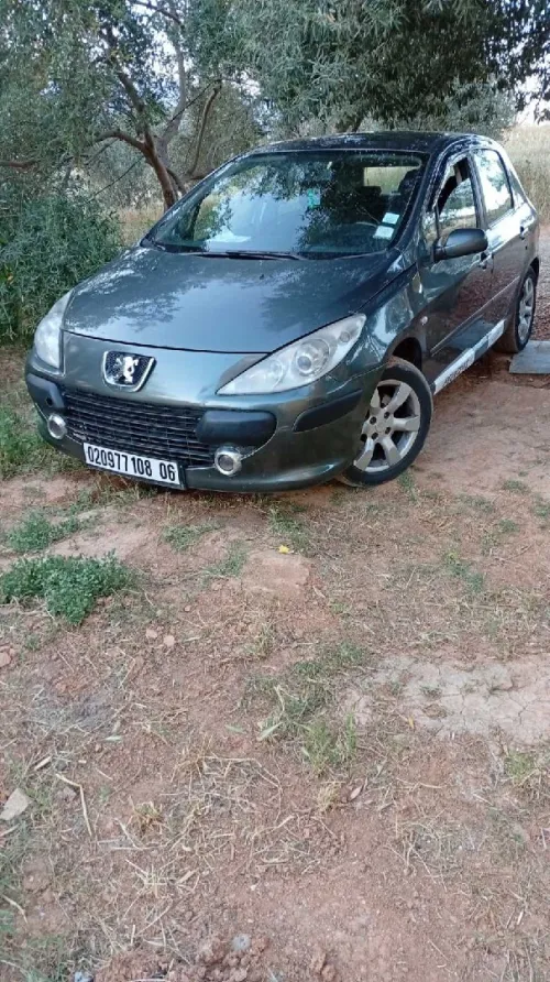Peugeot 207 2008 207
