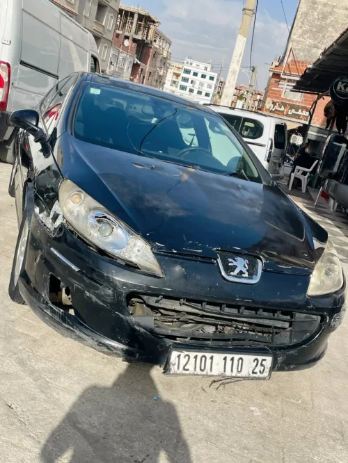Peugeot 407 2010 
