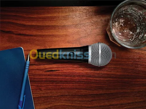 MICRO Shure PGA48
