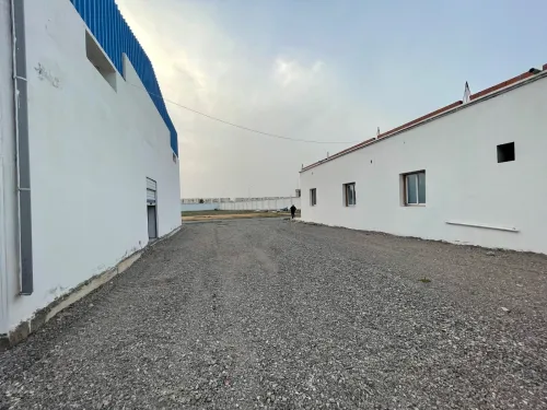 Vente Hangar - Usine Oum El Bouaghi Ain mlila