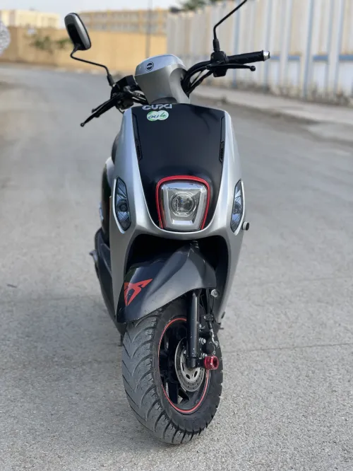 Linhai Cuxi 2 2023