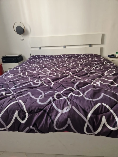 Chambre à coucher sans armoire 