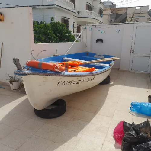 Barque + moteur 9.8ch EVINRUDE