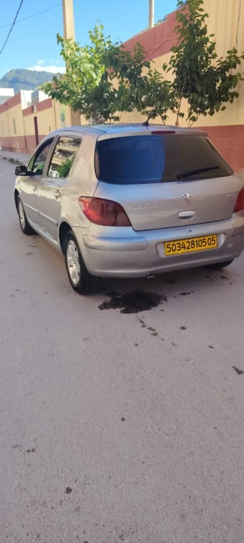 Peugeot 307 2005 307
