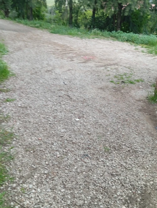 Vente Terrain Boumerdès Larbatache 4