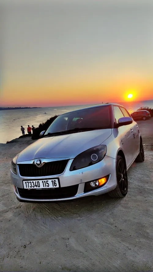 Skoda Fabia 2015 Visage