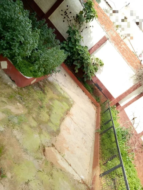 Vente Villa Alger Belouizdad