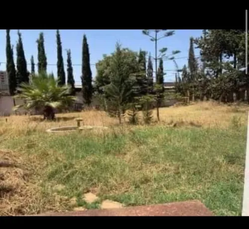 Vente Terrain Tipaza Kolea