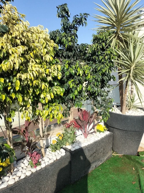 Le meilleur Jardinage et Espace vert et gazon
