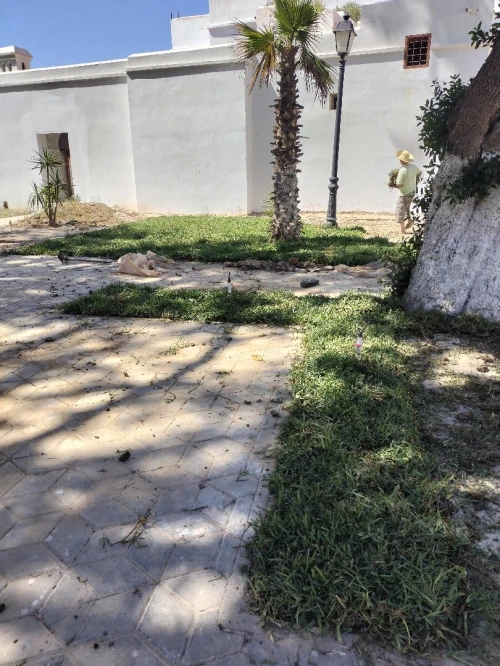 JARDINAGE EST AMÉNAGMENT DES ESPACE VERT GAZON naturel