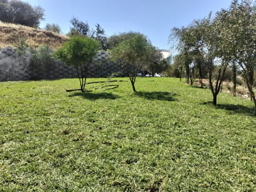JARDINAGE EST AMÉNAGMENT DES ESPACE VERT GAZON naturel