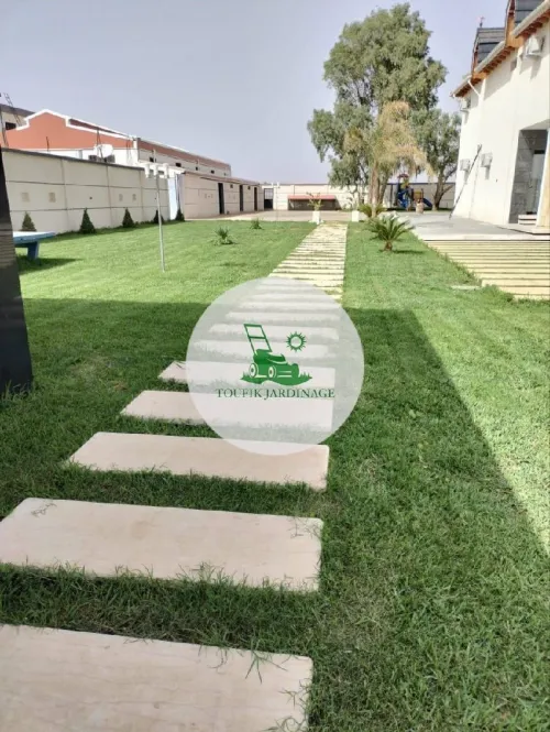 تهيئة المساحات الخضراء