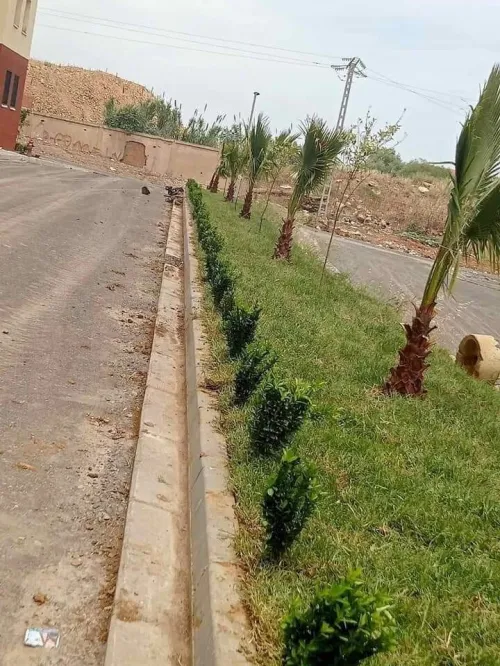 خدمات تهيئة مساحات خضراء و العشب طبيعي