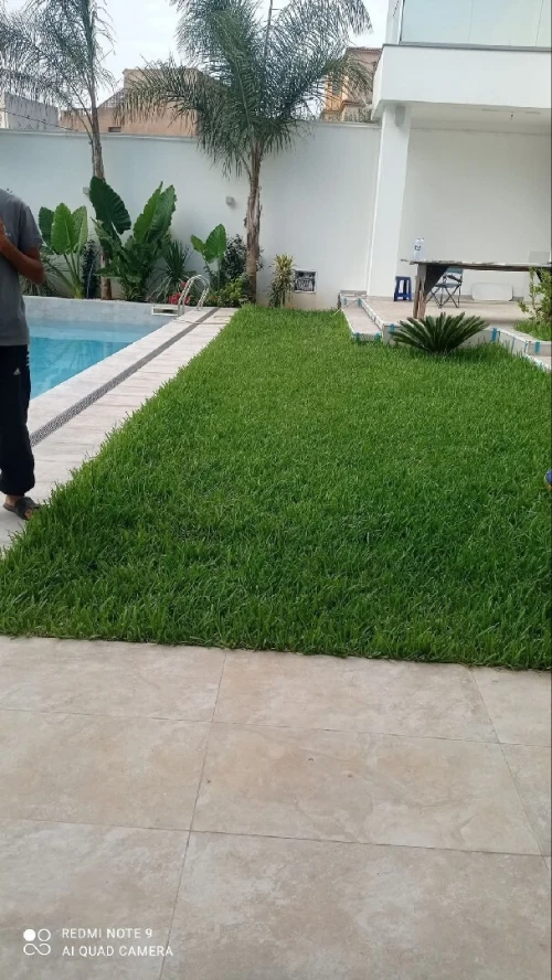 Le meilleur Jardinage et Espace vert et gazon