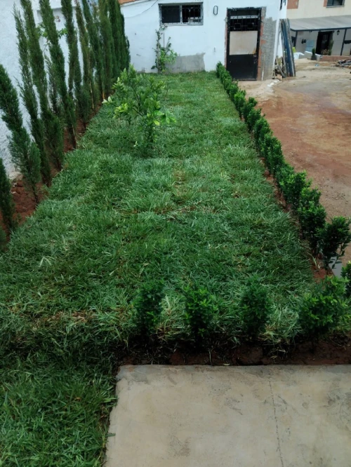 Entreprise Décoration jardin de Luxe