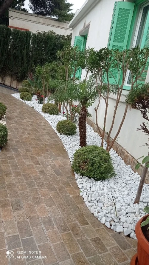 Le meilleur Jardinage et Espace vert et gazon