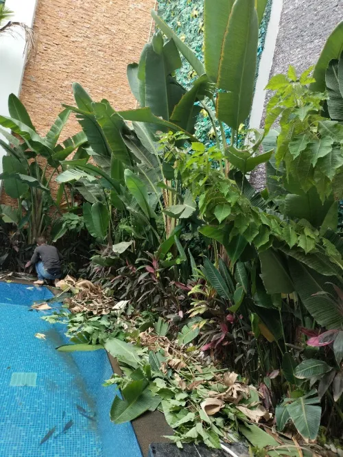DÉCORATION JARDINAGE ESPACE VERT 